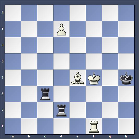 Schach Studie Gorgiev