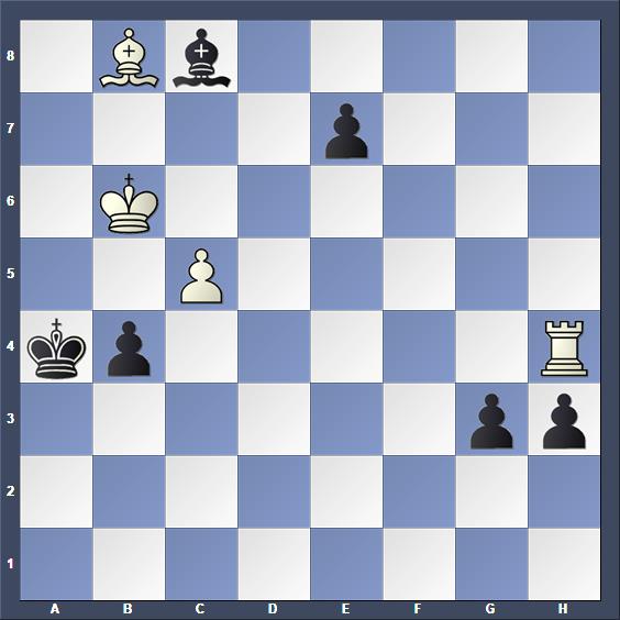 Schach Schachproblem Gorgiewski