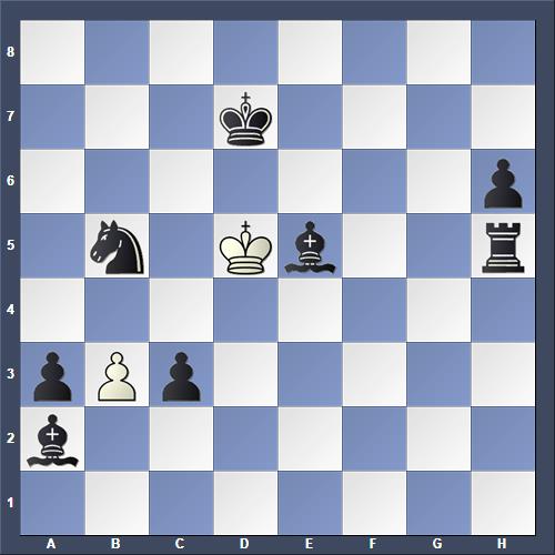 Schach Schachproblem Mogler