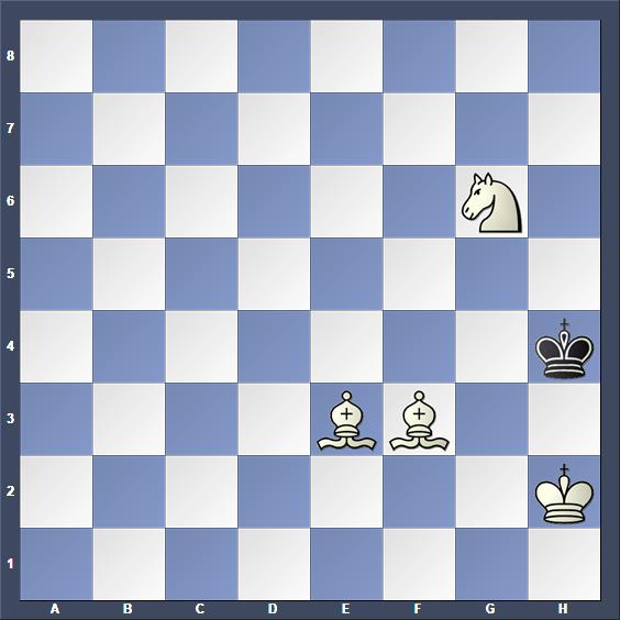 Schach Schachproblem Holladay