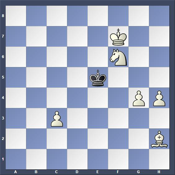 Schach Schachproblem Niestroj