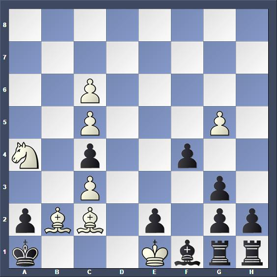 Schach Schachproblem Sygurov